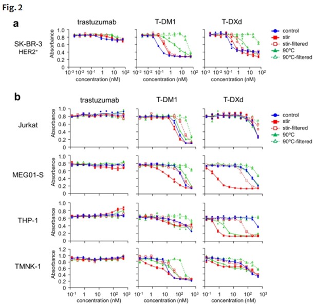 Cytotoxicity evaluation of ADC aggregates.