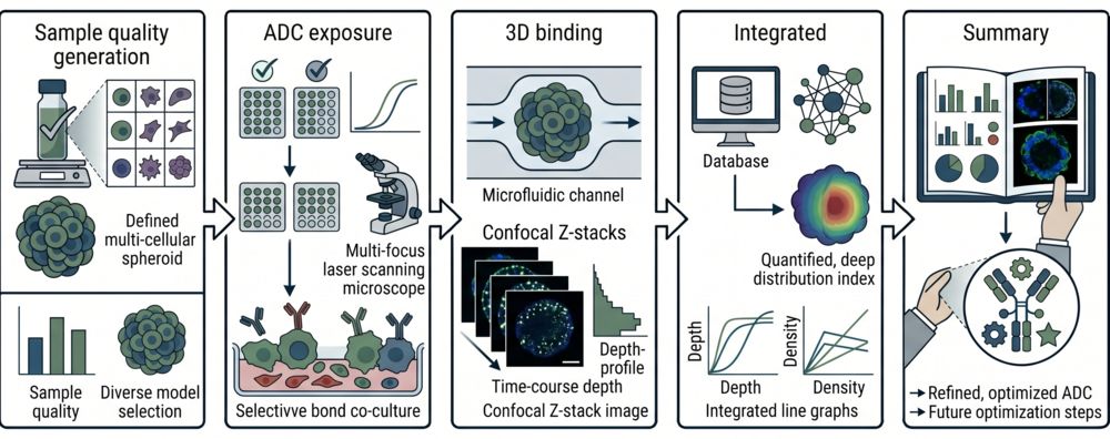 Standardized workflow for ADC targeting profile evaluation