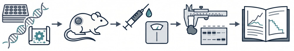 Integrated workflow for ADC in vivo efficacy evaluation research