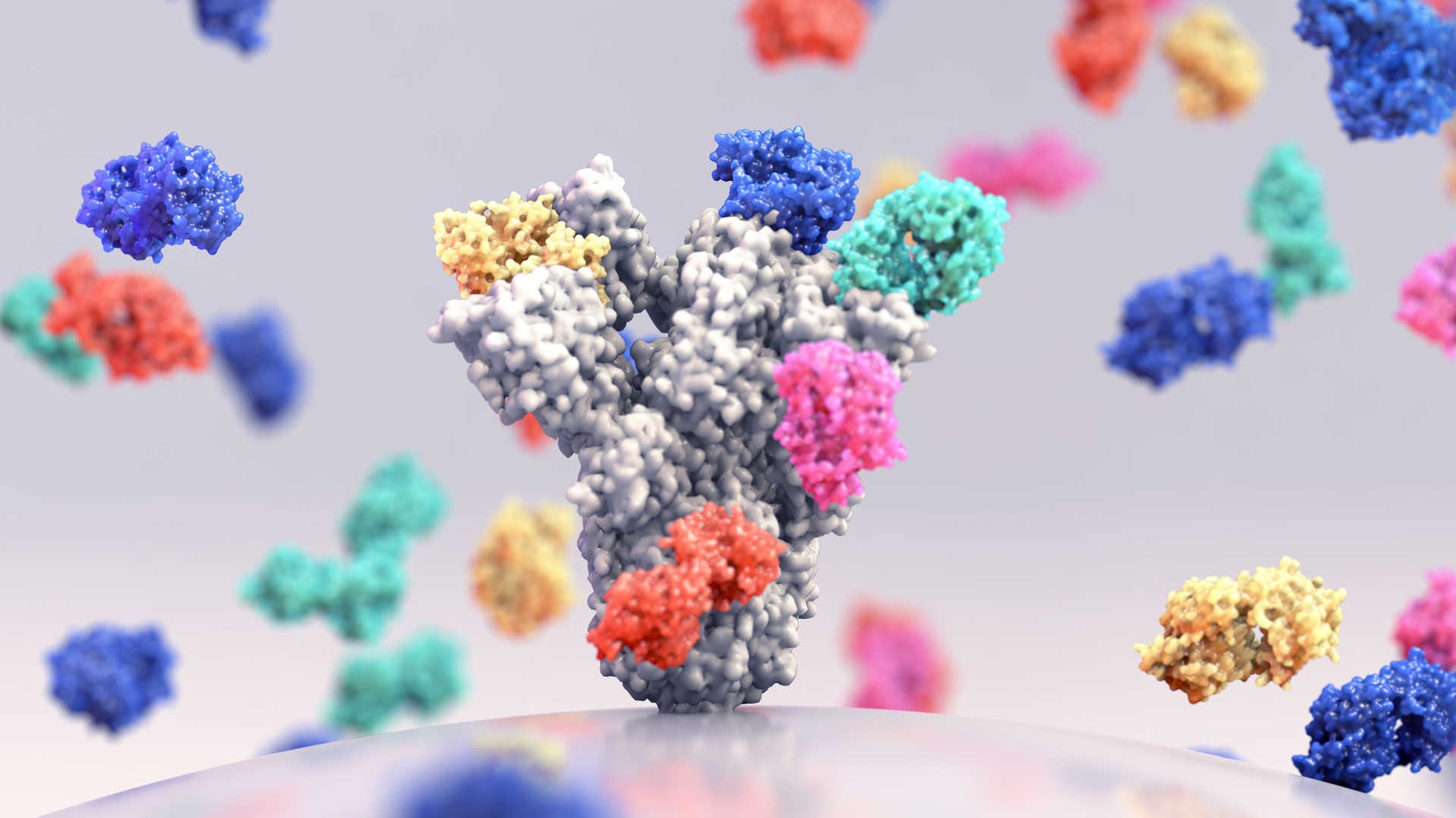 Antibody Discovery Platforms illustration