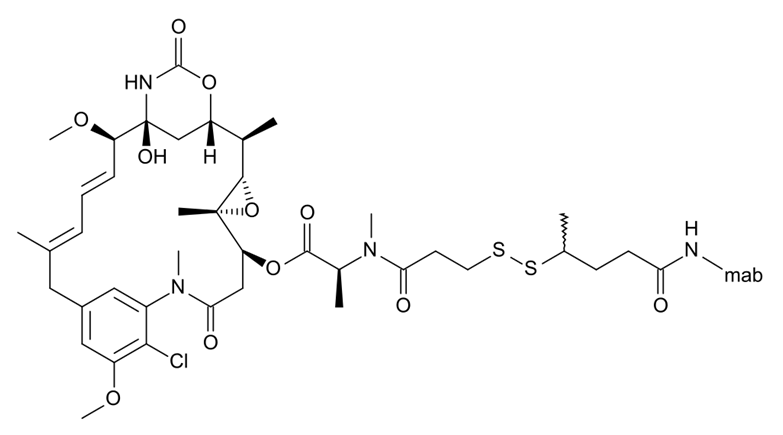 Overall structure of Bivatuzumab mertansine.