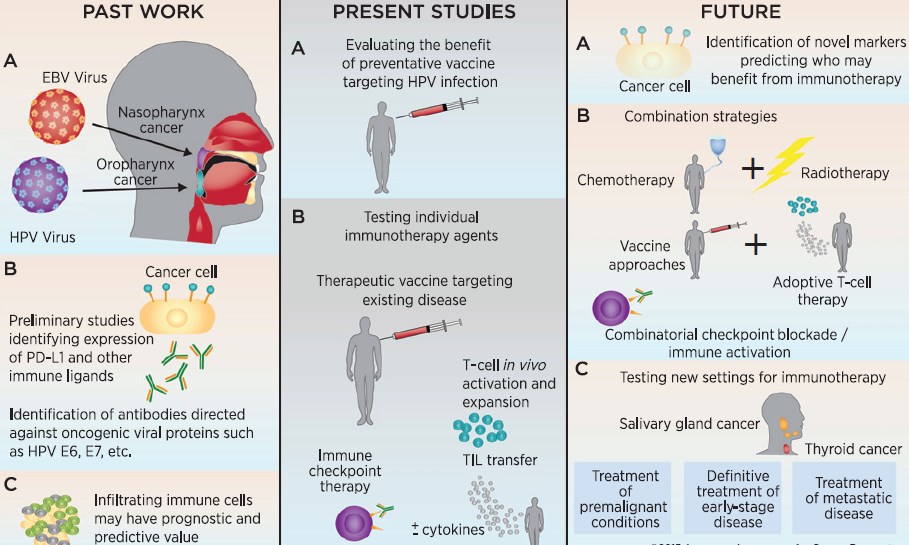 The past, present, and future of the crossroads between tumor immunotherapy and the treatment of head and neck cancers.
