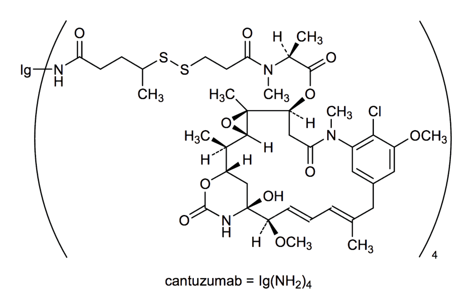 The structure of cantuzumab mertansine.