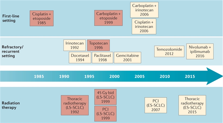 Timeline of therapeutic advances for SCLC.