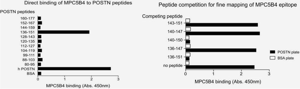 Identification of peptides recognized by mAbs within the FASA-1 domain.