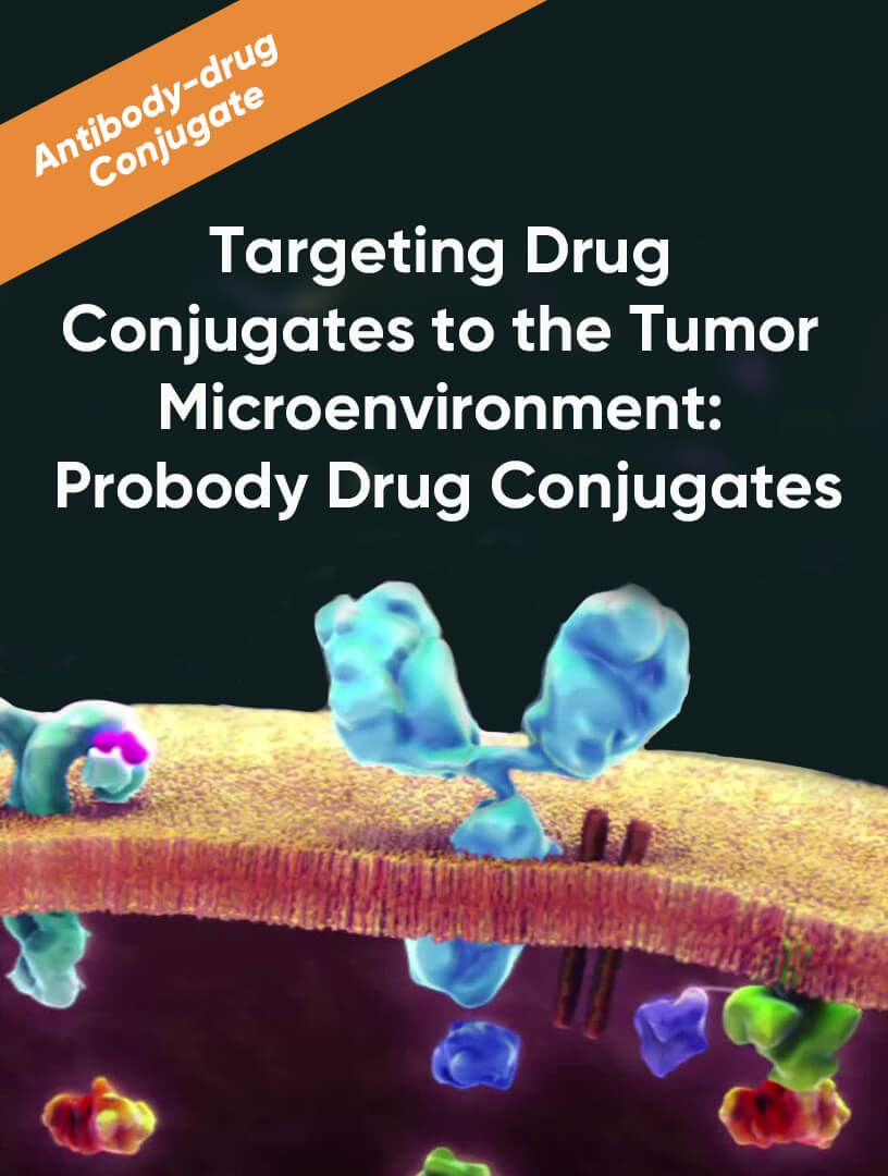Targeting Drug Conjugates to the Tumor Microenvironment: Probody Drug Conjugates