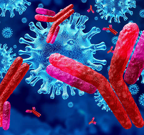 A scientist working in a modern laboratory on antibody discovery.