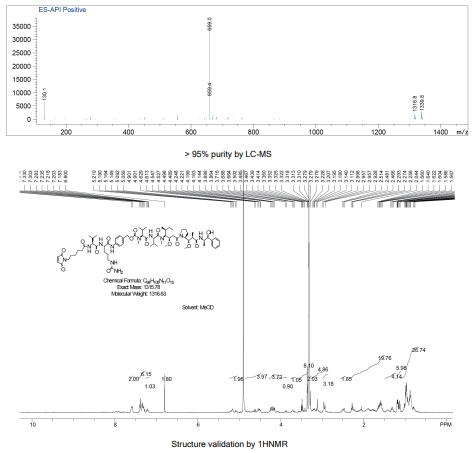 A diagram illustrating an Anti-HER2 antibody-drug conjugate binding to a cancer cell receptor.
