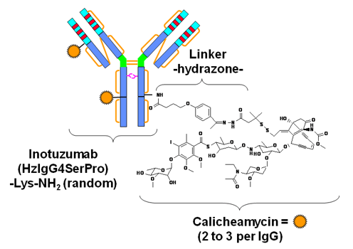 Structures of Inotuzumab ozogamicin (InO). 