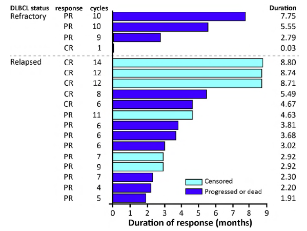  Duration of response by individual patient during the SAR3419 treatment. 