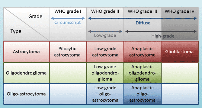 Gliomas classification. 