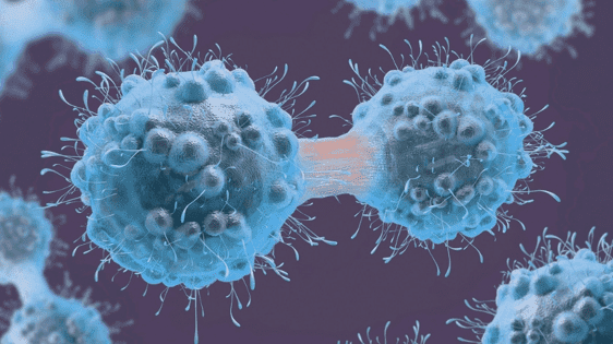 ADC Development for NSCLC