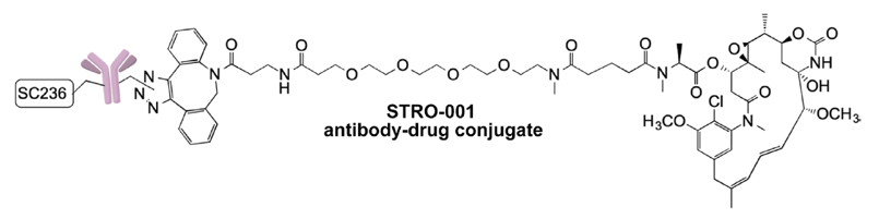 Fig.1 A schematic about the structure of an anti-CD-74 ADC. (OA Literature)