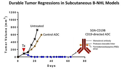 Tumor regressions of SGN-CD19B.