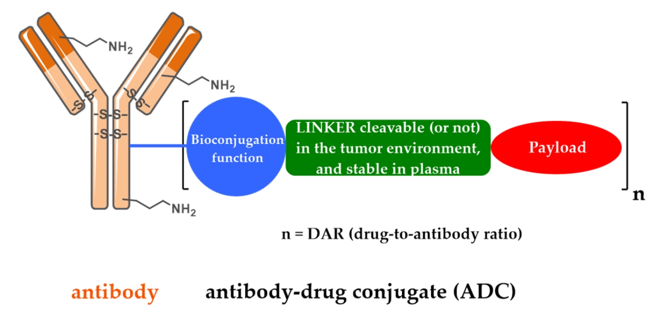 Fig. 1 Structural schematic diagram of the first-generation ADC approved by the FDA.