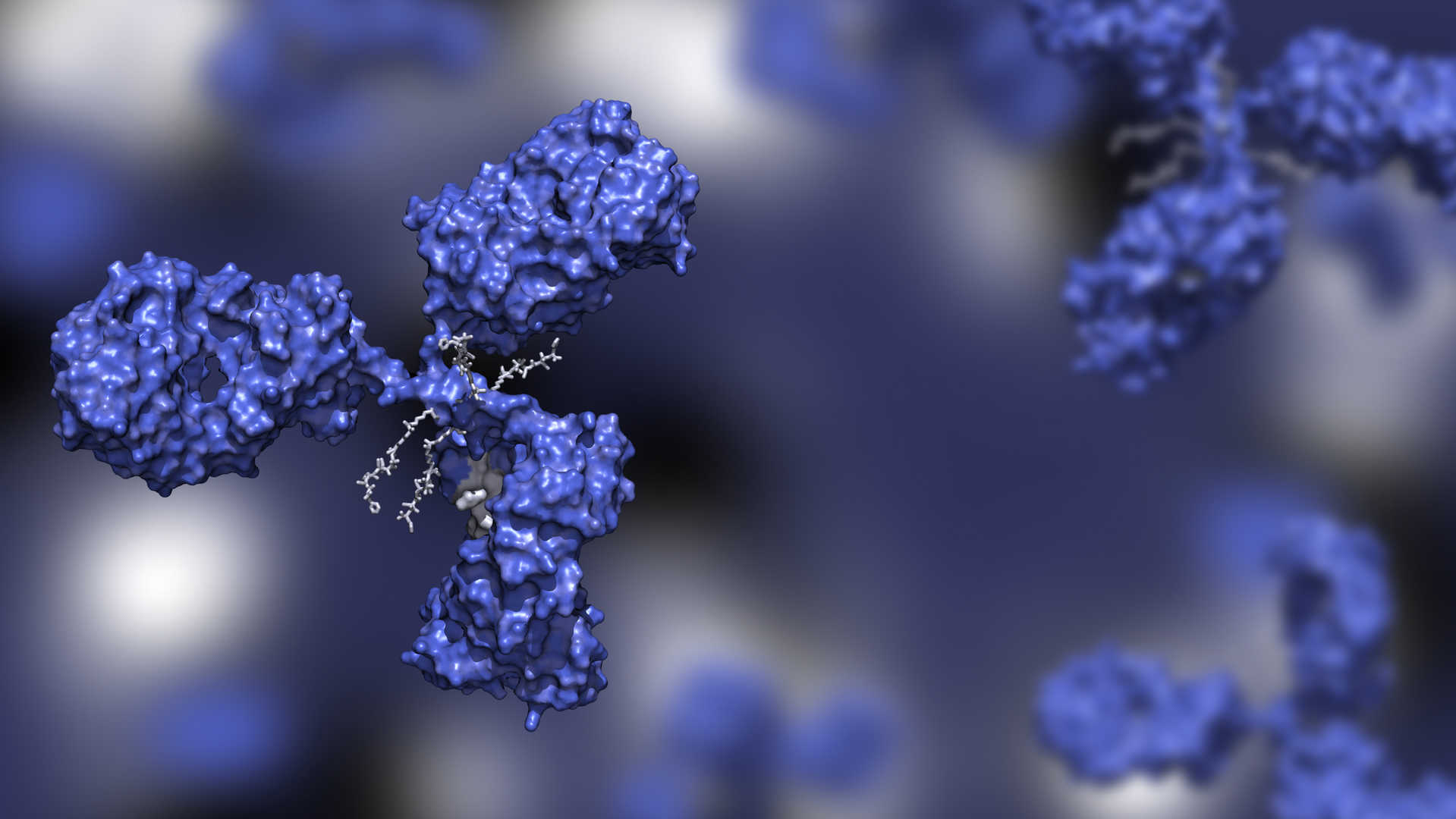 Illustration of classical amino acid residue-based antibody conjugation.