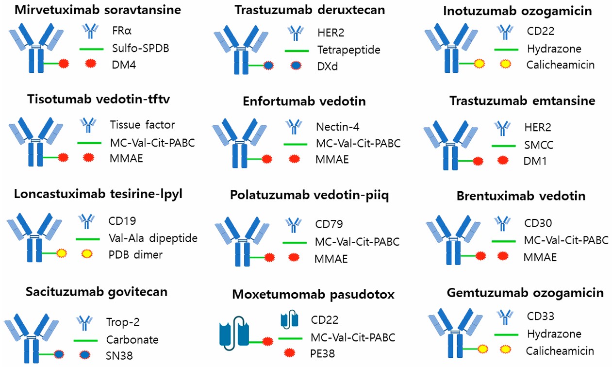 Fig. 5 FDA-approved ADC.