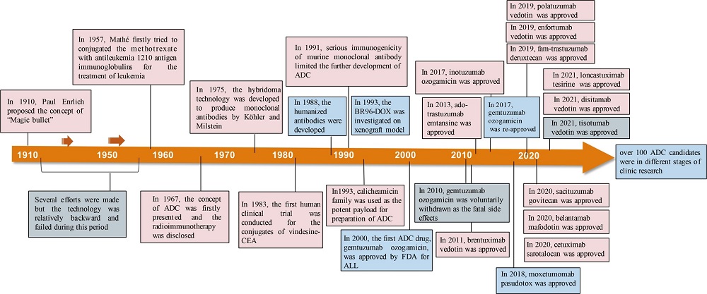 Fig. 6 Timeline depicting important events in the development and approval of ADC drugs.