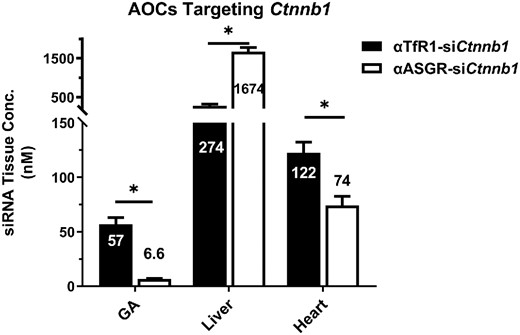 The selective delivery of oligonucleotide therapeutics to target tissues using the AOC platform was evaluated in mice.