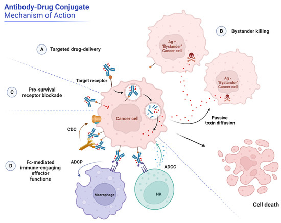 Fig.1 Schematic illustration mechanism of ADCs. (OA Literature)