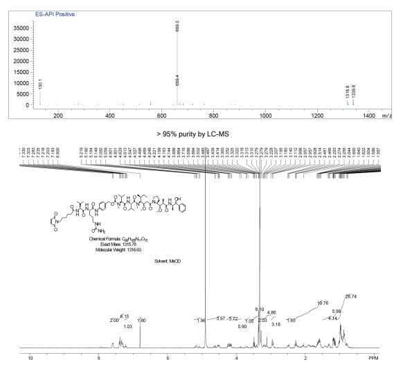 Illustration of Anti-HER2 ADC binding to a cancer cell.