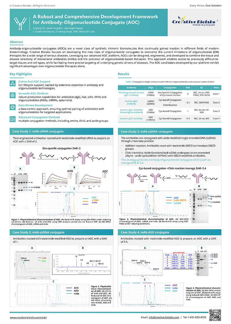 Antibody-Oligonucleotide Conjugate (AOC)