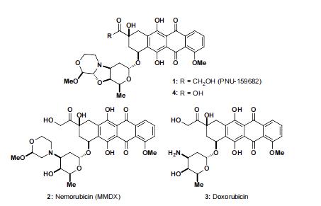 Fig. 1. Structures of Anthracyclines in the PNU-159682 (1) Synthetic Family (Holte D, et al., 2020)