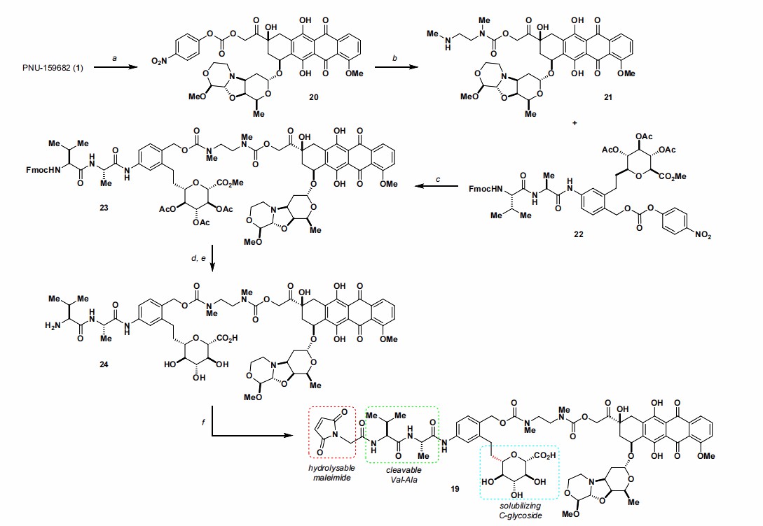 Fig. 2. Synthesis of Linker Drug 19 (Holte D, et al., 2020)