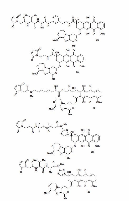 Fig. 3. Linker Drugs 25-29 (Holte D, et al., 2020)