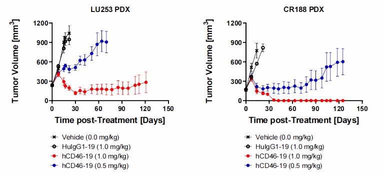 Fig. 4. In vivo efficacy of PNU-conjugated ADCs in NSCLC LU253 and colorectal CR188 PDX subcutaneous models in NOD/SCID mice. (Holte D, et al., 2020)