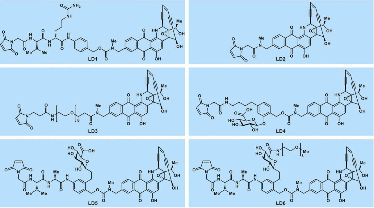Fig. 2. Molecular structures of designed uncialamycin-based linker-drugs LD1 to LD6 (Nicolaou KC, et al., 2021)