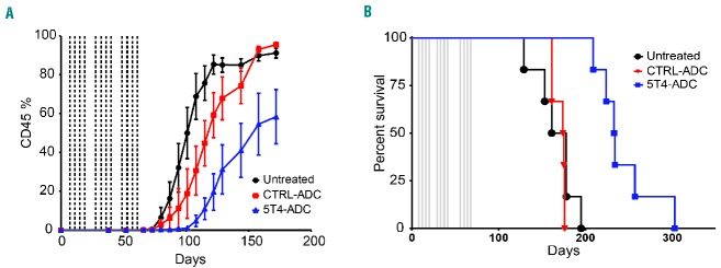 In vivo A1mcMMAF therapy of B-cell acute lymphoblastic leukemia patient-derived xenografts.