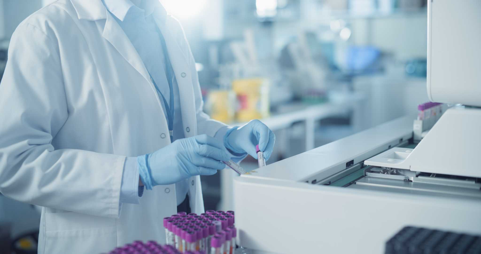 Tumor measurement in a lab mouse to evaluate in vivo efficacy.