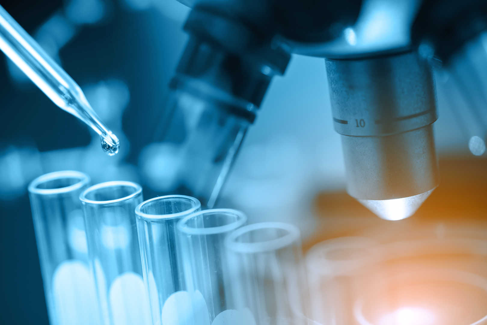 Microscopic view of tissue samples for toxicology assessment.