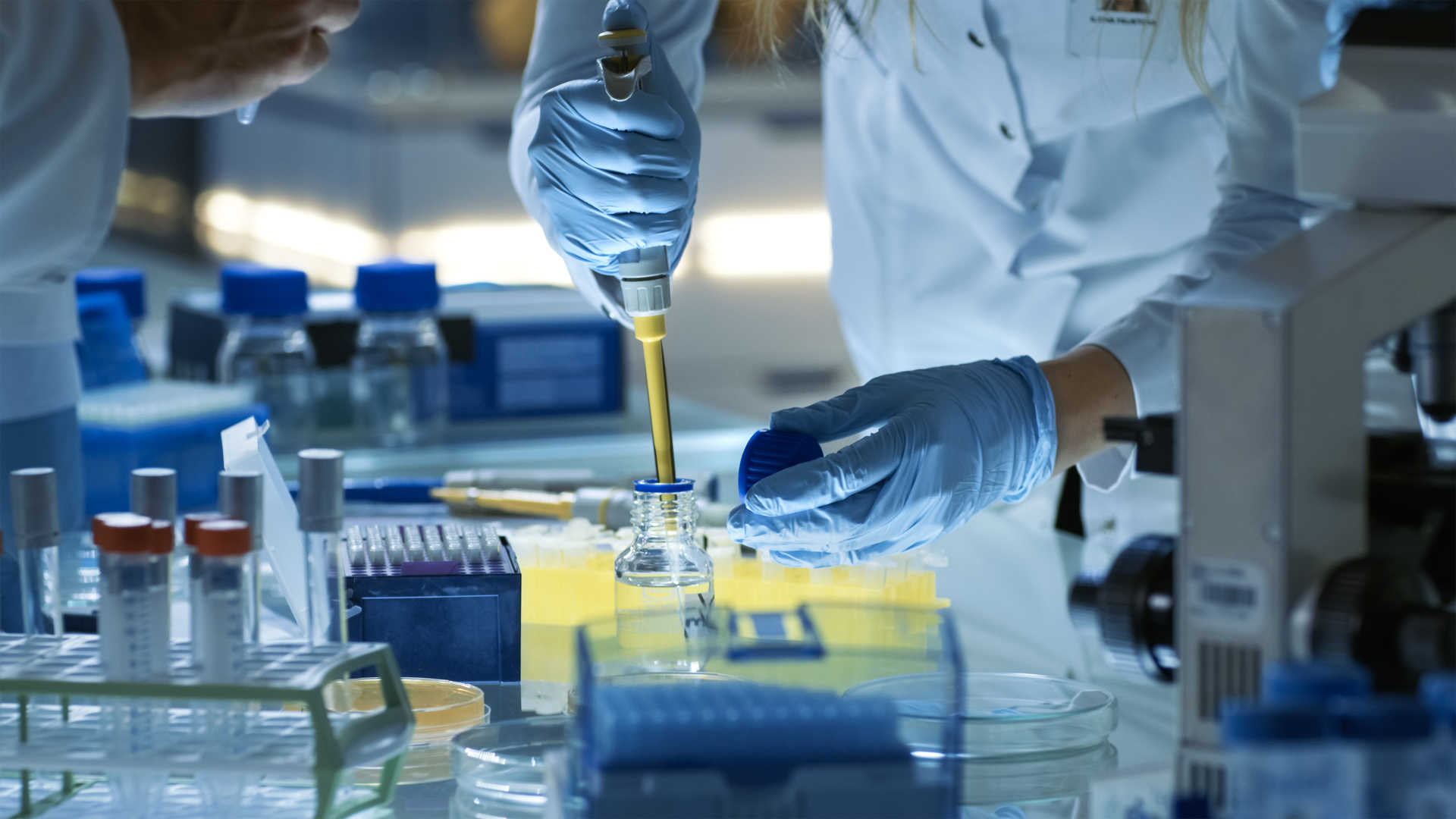 Scientist analyzing pharmacokinetic data on a computer screen.