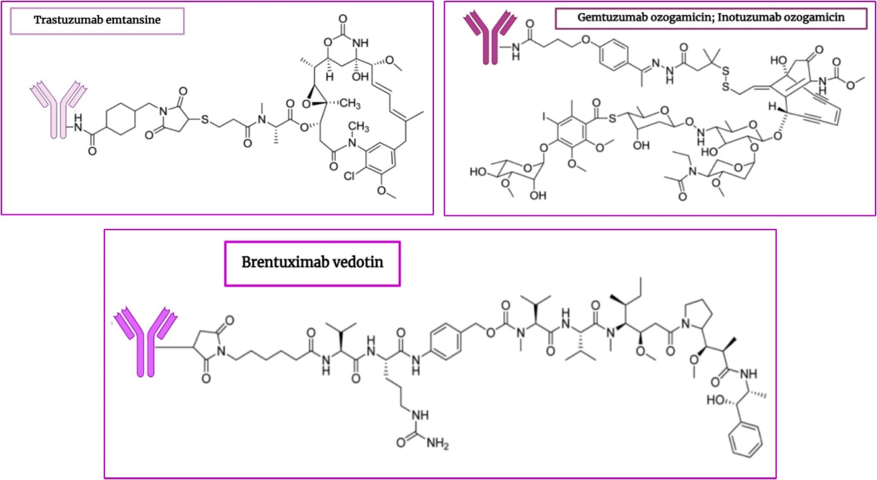 Leading Innovators in the ADC Landscape