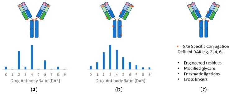 Linkers in Antibody-Drug Conjugates