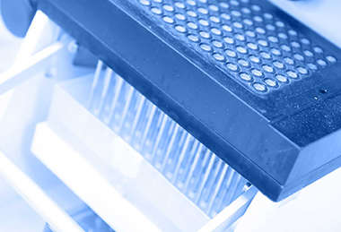 Illustration of high-throughput antibody screening process.