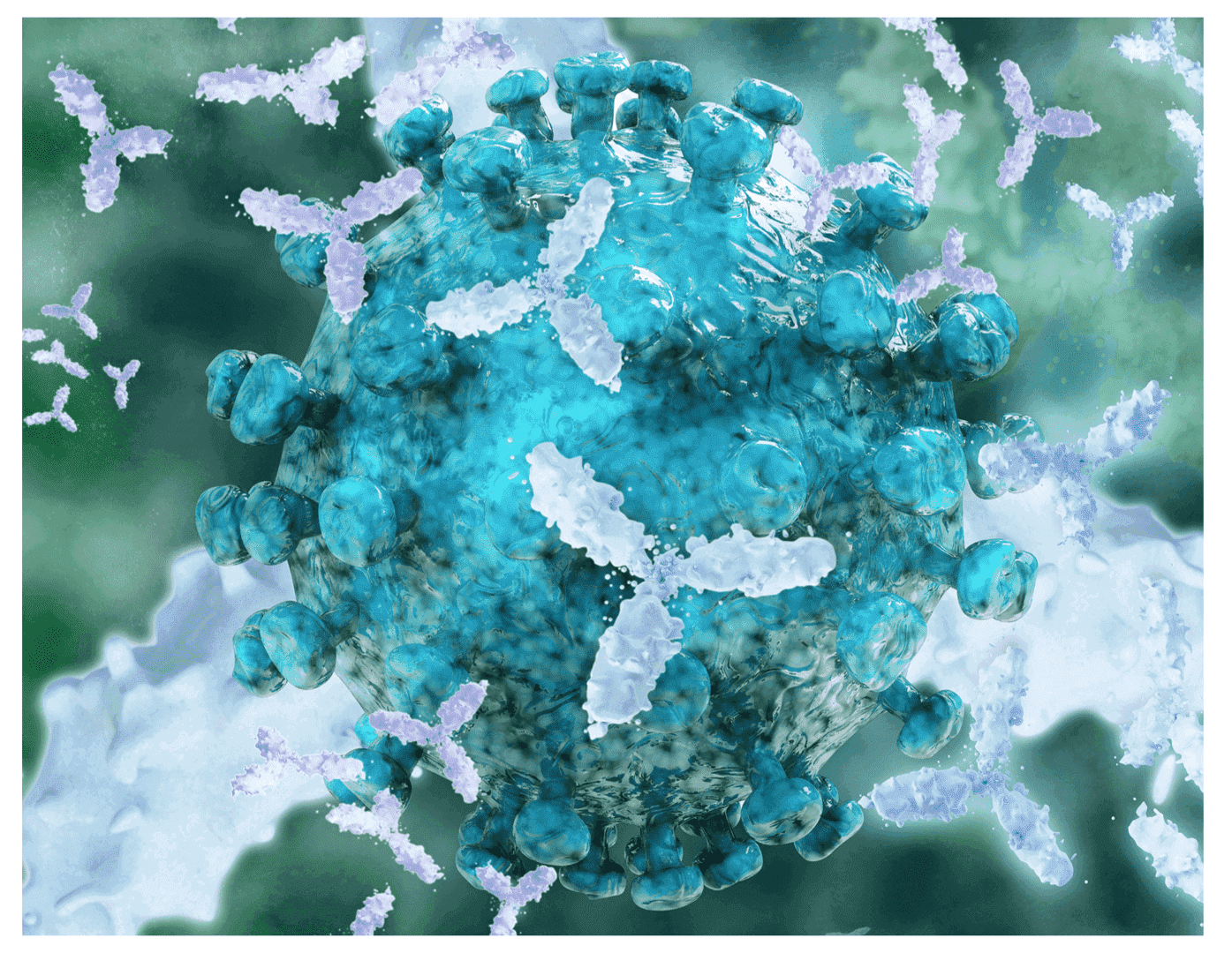 Cellular internalization assay visualization
