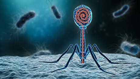 Phage display technology illustration