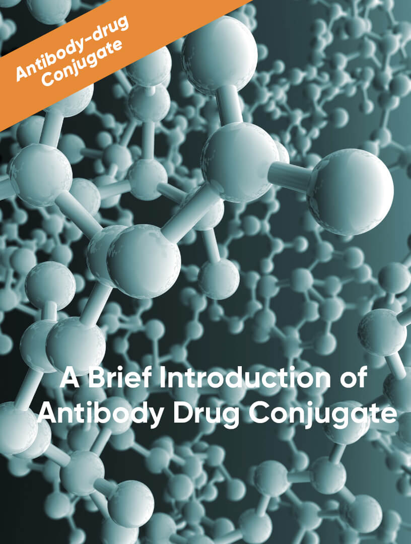 A Brief Introduction of Antibody Drug Conjugate