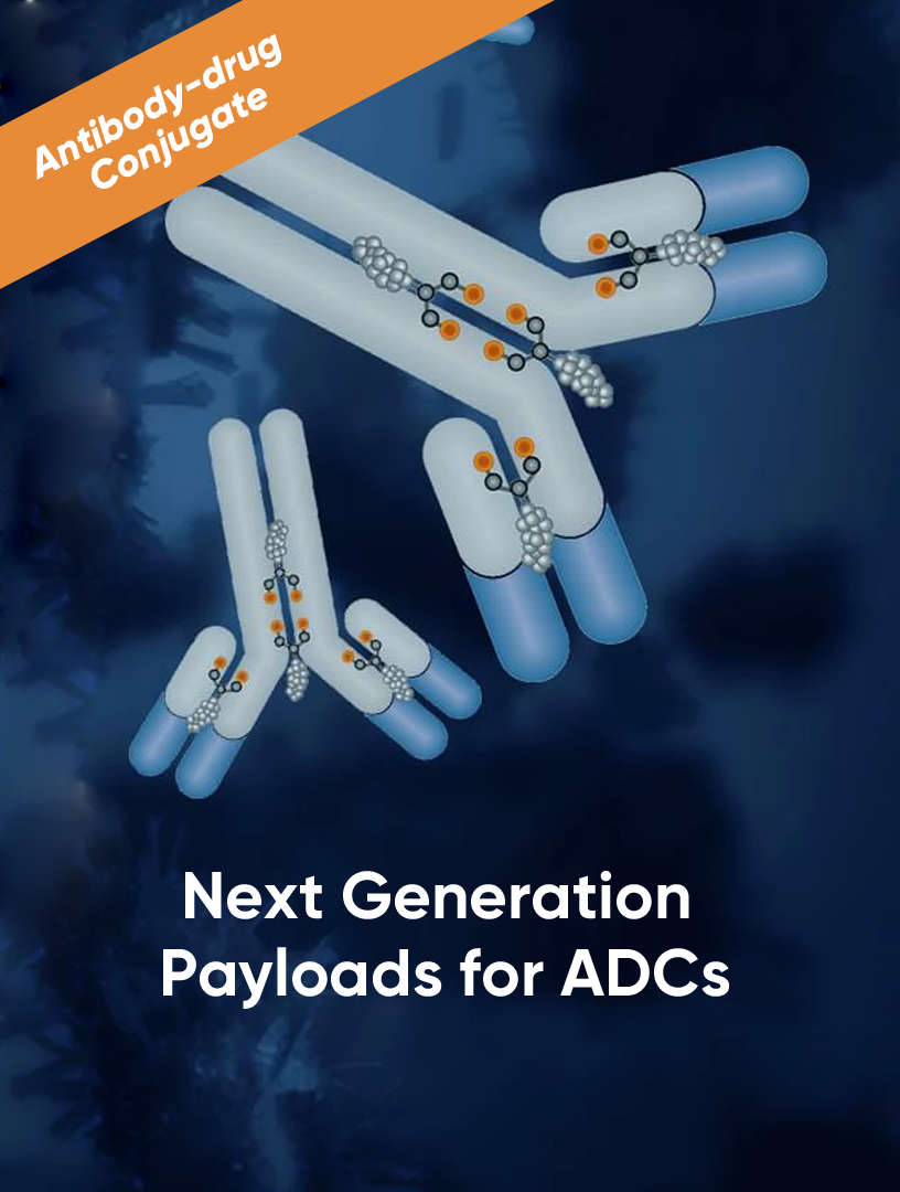 Next Generation Payloads for ADCs