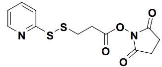 N-Succinimidyl 3-(pyridin-2-yldithio)-propionate (SPDP)