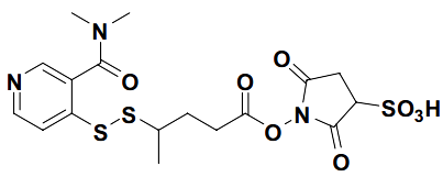 1-(4-((3-(dimethylcarbamoyl)pyridin-4-yl)disulfanyl)pentanoyloxy)-2,5-dioxopyrrolidine-3-sulfonic acid