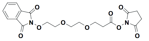 2,5-dioxopyrrolidin-1-yl 3-(2-(2-(1,3-dioxoisoindolin-2-yloxy)ethoxy)ethoxy)propanoate