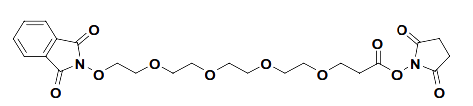 2,5-Dioxopyrrolidin-1-yl 1-(1,3-dioxoisoindolin-2-yloxy)-3,6,9,12-tetraoxapentadecan-15-oate