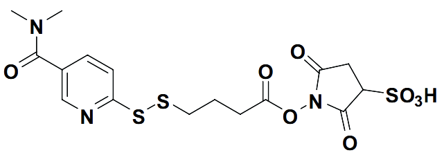1-(4-((5-(dimethylcarbamoyl)pyridin-2-yl)disulfanyl)butanoyloxy)-2,5-dioxopyrrolidine-3-sulfonic acid