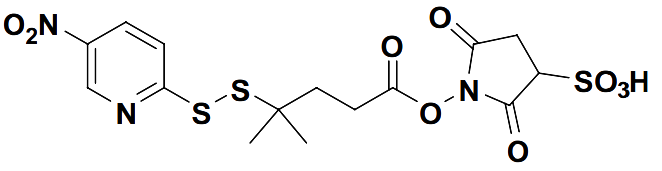 1-(4-methyl-4-((5-nitropyridin-2-yl)disulfanyl)pentanoyloxy)-2,5-dioxopyrrolidine-3-sulfonic acid