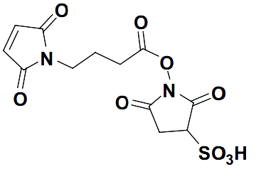 N-Maleimidobutyryloxysulphosuccinimide este