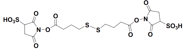1-{[4-({4-[(2,5-dioxo-3-sulfopyrrolidin-1-yl)oxy]-4-oxobutyl}disulfanyl)butanoyl]oxy}-2,5-dioxopyrrolidine-3-sulfonic acid